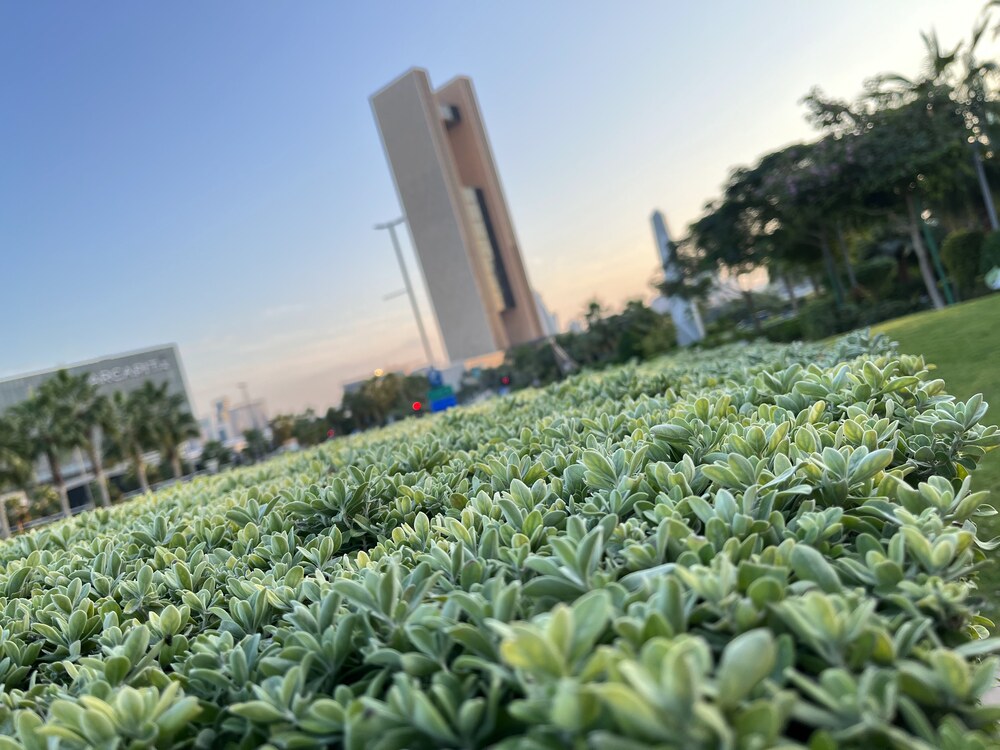 Header Image