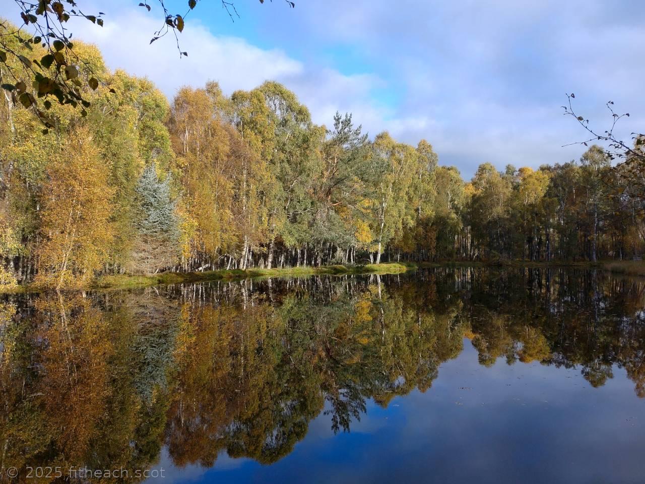 Autumn colours on the trees. The trees are around the edge of a lochan. The trees are perfectly reflected in the still water. Above is a lightly clouded sky with some blue showing through. Autumn colours on the trees. The trees are around the edge of a lochan. The trees are perfectly reflected in the still water. Above is a lightly clouded sky with some blue showing through.