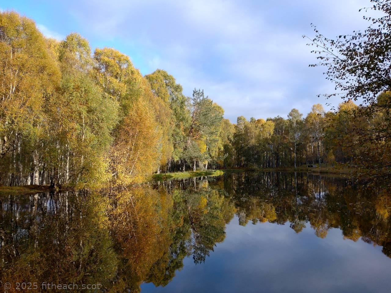 Autumn colours on the trees. The trees are around the edge of a lochan. The trees are perfectly reflected in the still water. Above is a lightly clouded sky with some blue showing through. Autumn colours on the trees. The trees are around the edge of a lochan. The trees are perfectly reflected in the still water. Above is a lightly clouded sky with some blue showing through.