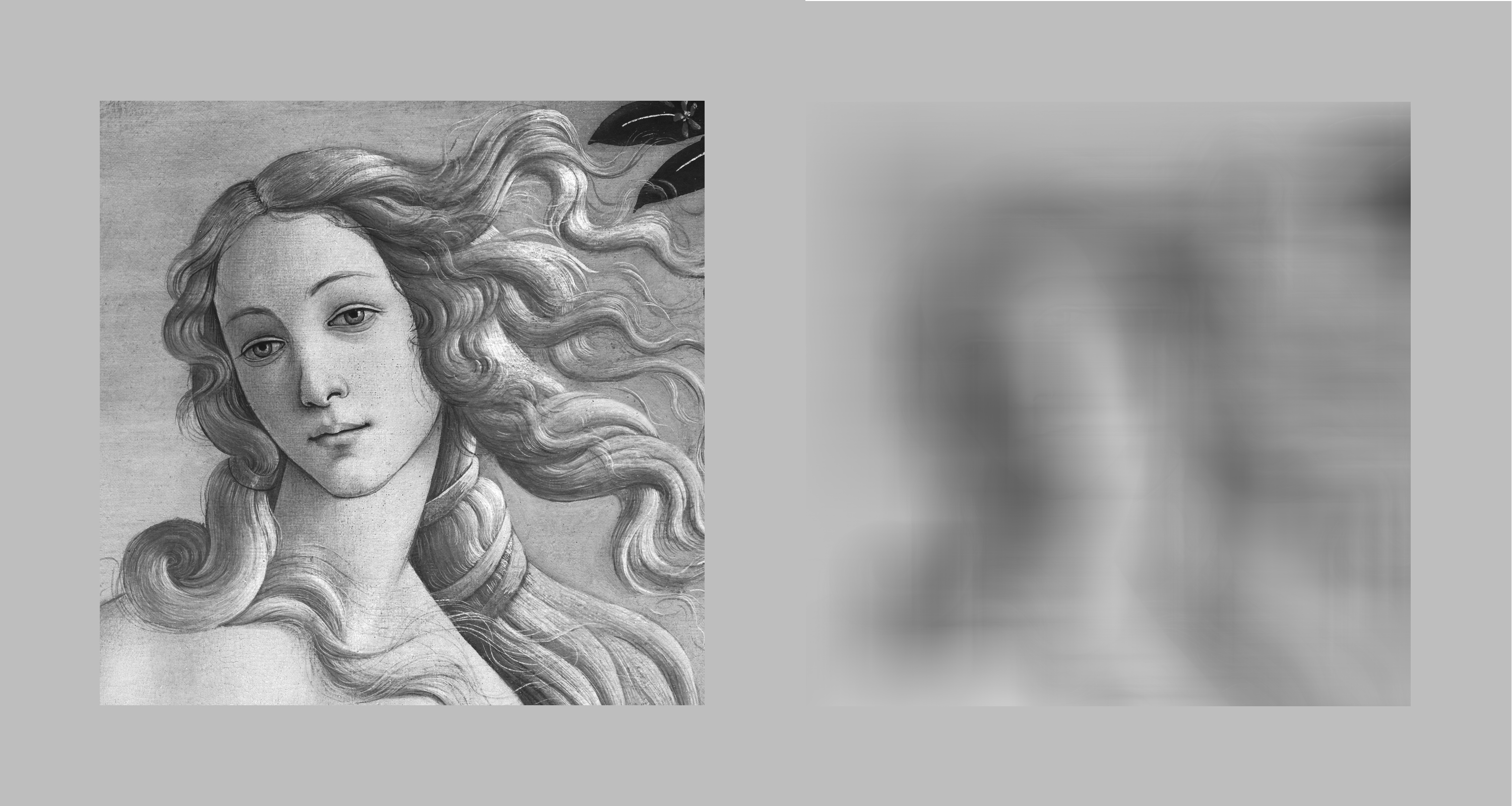 A grayscale image of a persons head taken from Sandro Botticelli's painting The Birth of Venus. It has a lot of detail including several strands of long curly hair.

Next to it is the same image heavily blurred. It is barely recognisable. Only a very rough outline can be made out. It could also be a blurry image of a finger or an earthworm, for example.
