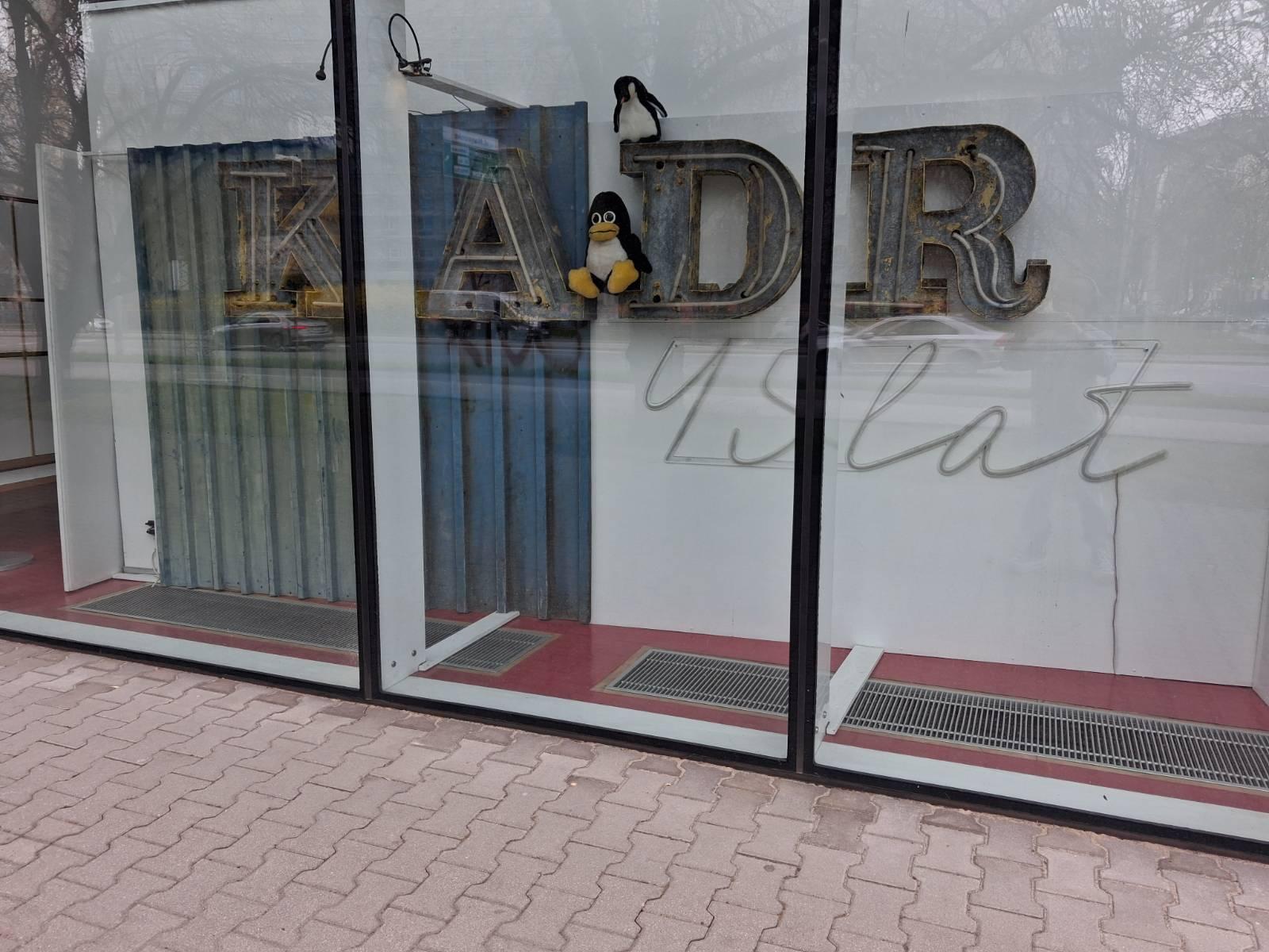 Dwa pluszowego pingwiny w witrynie Domu Kultury Kadr ustawione ba starym neonie domu.