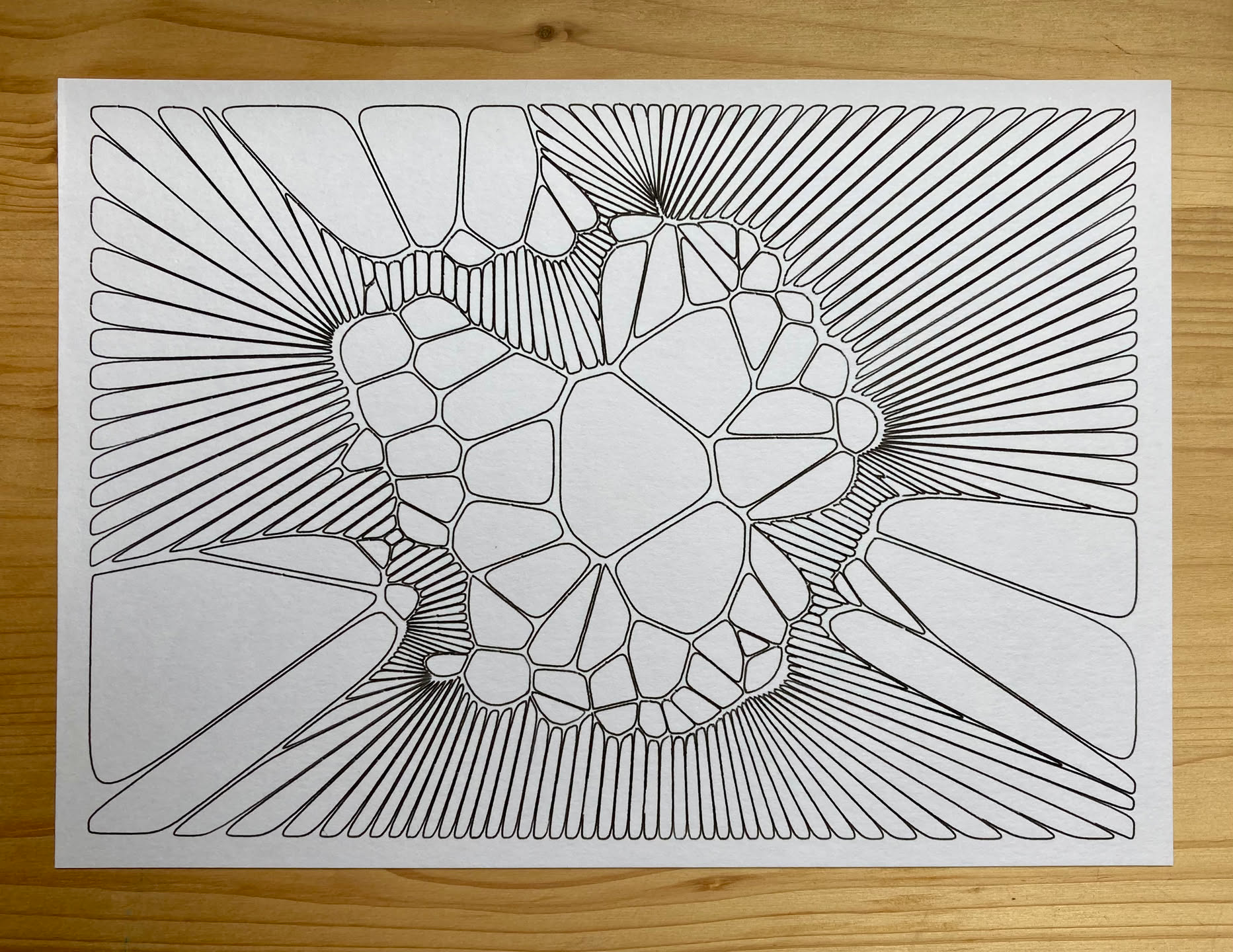a drawing of a voronoi diagram, resembling an organic cell-like structure. irregular shapes, some small, some large, surround a central blob that is vaguely w-shaped.