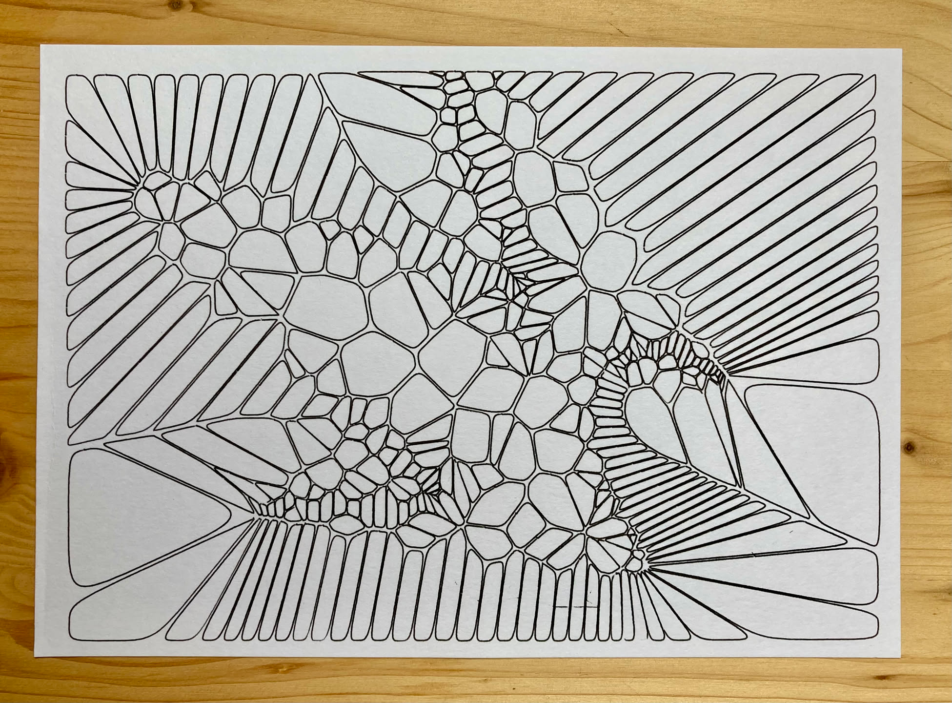 a drawing of a voronoi diagram, resembling an organic cell-like structure
